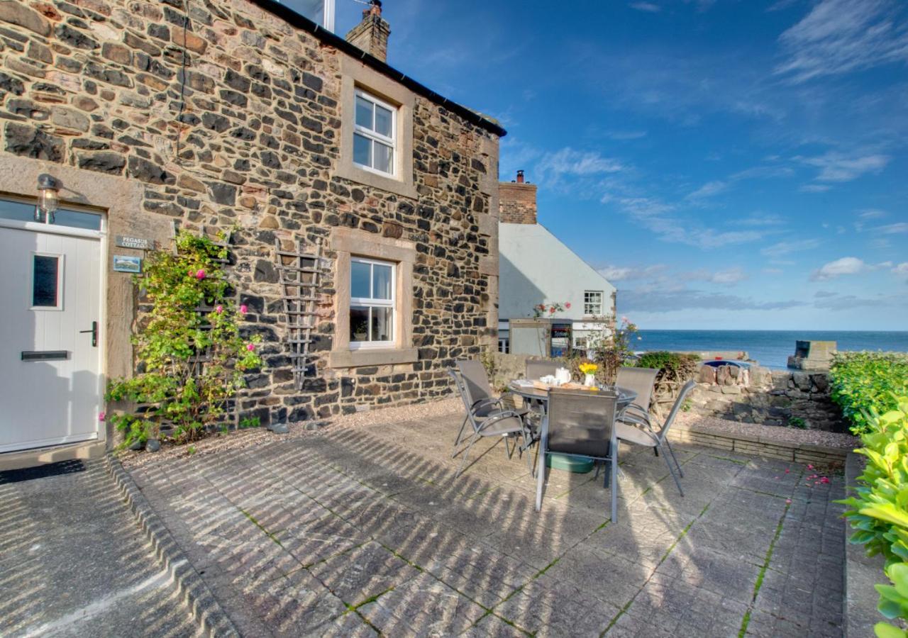 Pegasus Cottage Craster Exterior foto